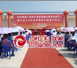 南寧樓盤開盤慶典策劃 專業(yè)與創(chuàng)意并重的開業(yè)盛典